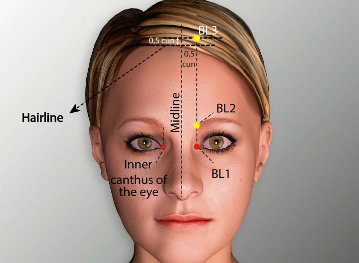 BL1 acupuncture point location - Acupoints.org