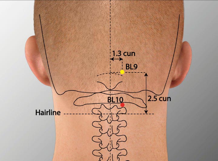 BL10 acupuncture point location - Acupoints.org