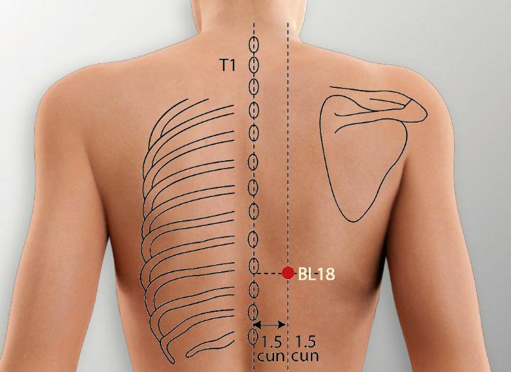 BL18 acupuncture point location - Acupoints.org