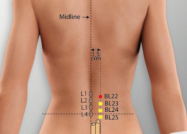 BL22 acupuncture point location - Acupoints.org