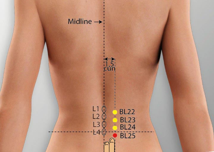 BL25 acupuncture point location - Acupoints.org