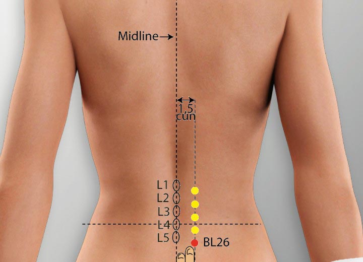 BL26 acupuncture point location - Acupoints.org