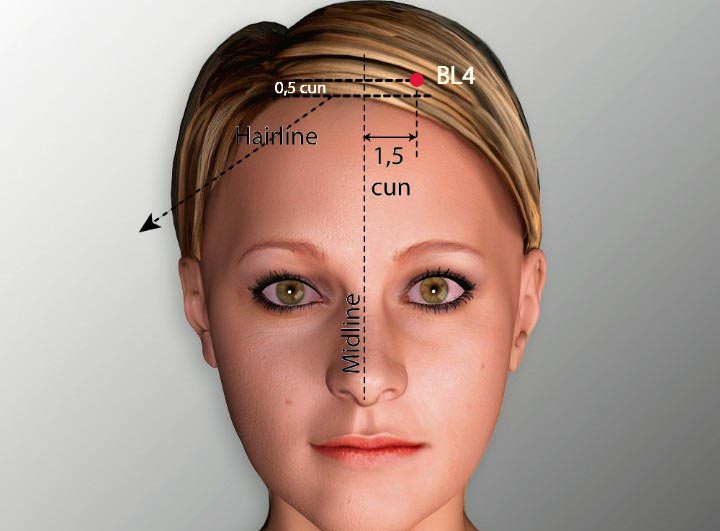 BL4 acupuncture point location - Acupoints.org