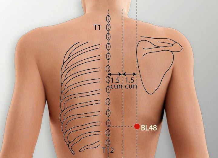 נקודת דיקור שלפוחית השתן BL 48