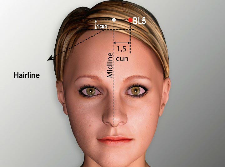 BL5 acupuncture point location - Acupoints.org