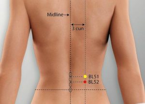 BL52 acupuncture point location - Acupoints.org