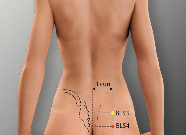 BL54 acupuncture point location - Acupoints.org