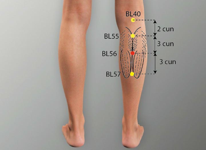 BL56 acupuncture point location - Acupoints.org