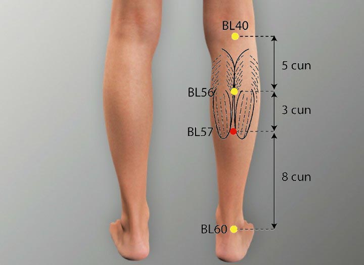 BL57 acupuncture point location - Acupoints.org