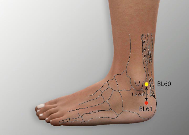 BL61 acupuncture point location - Acupoints.org