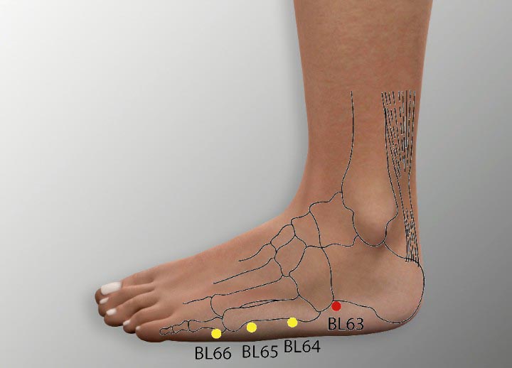 BL63 acupuncture point location - Acupoints.org