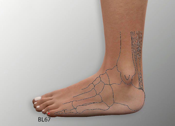 BL67 acupuncture point location - Acupoints.org