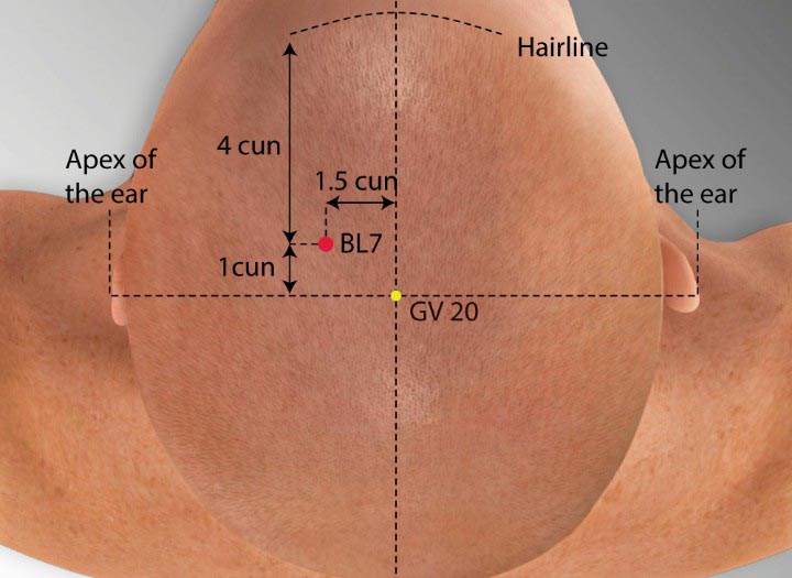 BL7 acupuncture point location - Acupoints.org