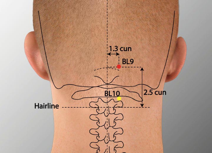 BL9 acupuncture point location - Acupoints.org