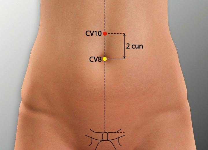 CV10 acupuncture point location - Acupoints.org