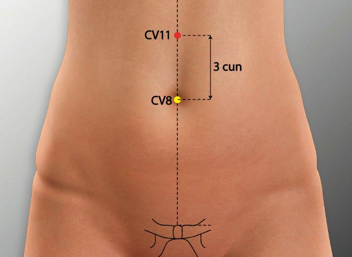 CV11 acupuncture point location - Acupoints.org