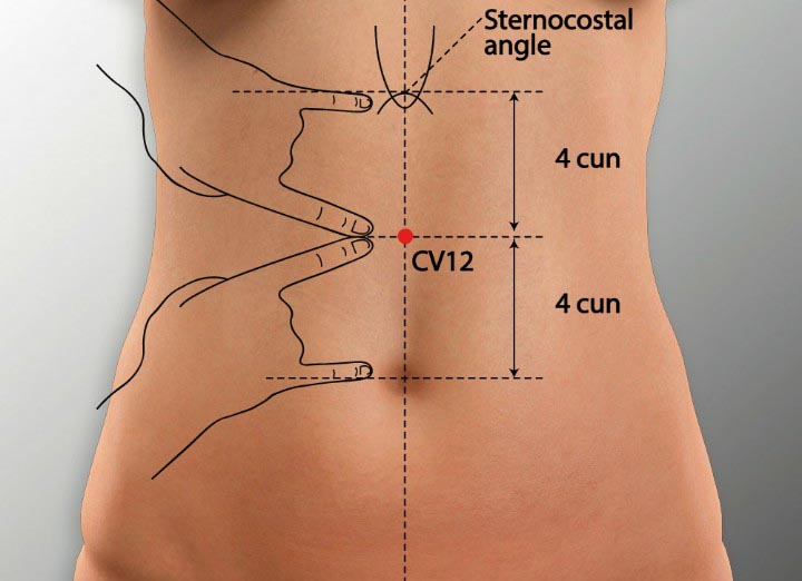 CV12 acupuncture point location - Acupoints.org