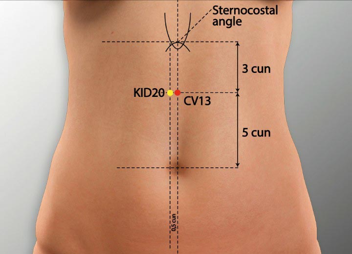 CV13 acupuncture point location - Acupoints.org