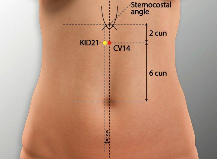 CV14 acupuncture point location - Acupoints.org