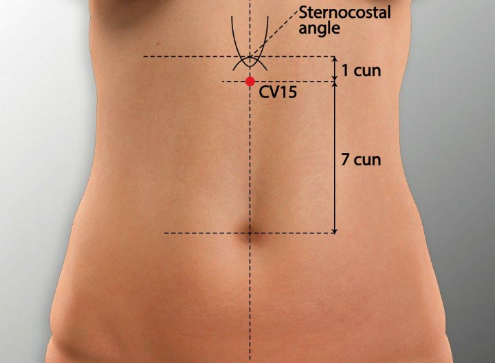 CV15 acupuncture point location - Acupoints.org