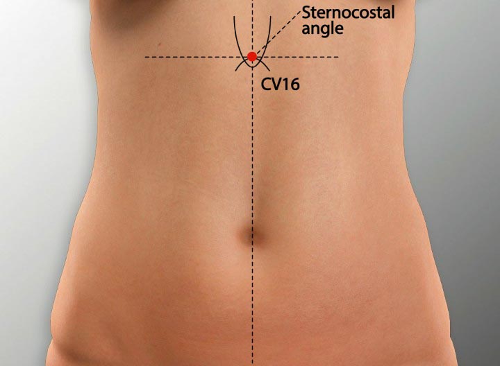 CV16 acupuncture point location - Acupoints.org