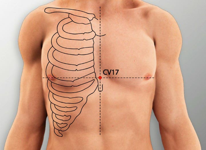 CV17 acupuncture point location - Acupoints.org