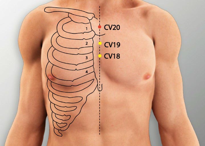 CV20 acupuncture point location - Acupoints.org