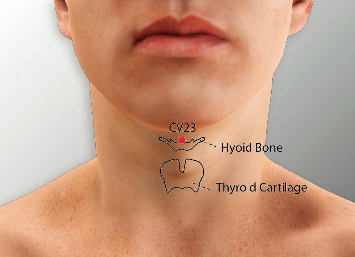 CV23 acupuncture point location - Acupoints.org