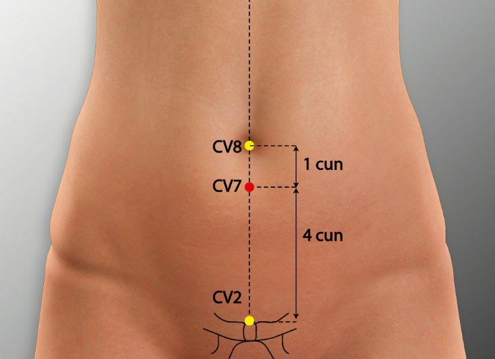 CV7 acupuncture point location - Acupoints.org
