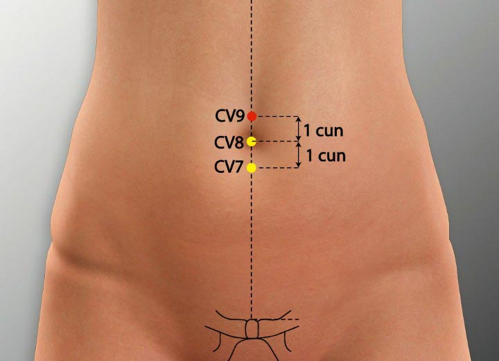 CV9 acupuncture point location - Acupoints.org