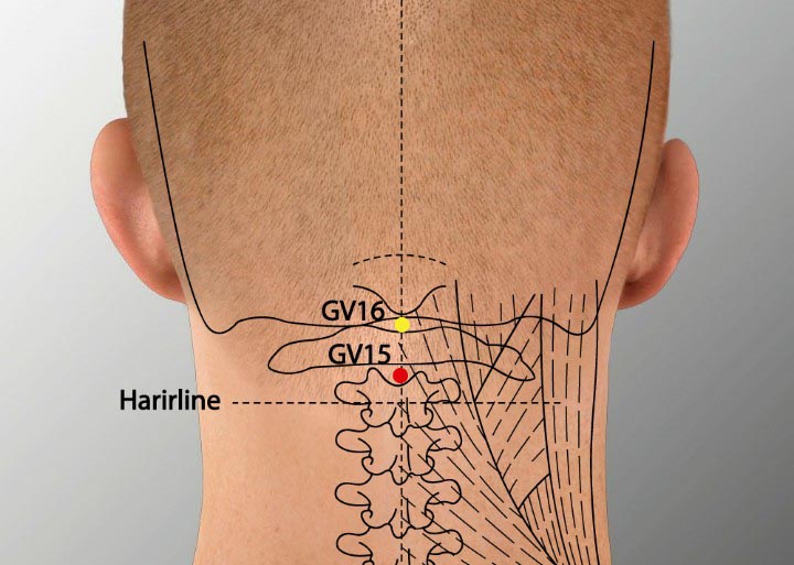 GV15 acupuncture point location - Acupoints.org