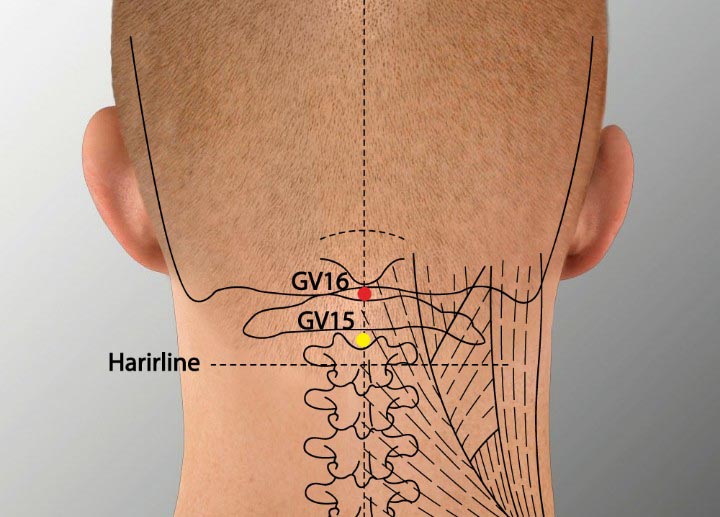 GV16 acupuncture point location - Acupoints.org