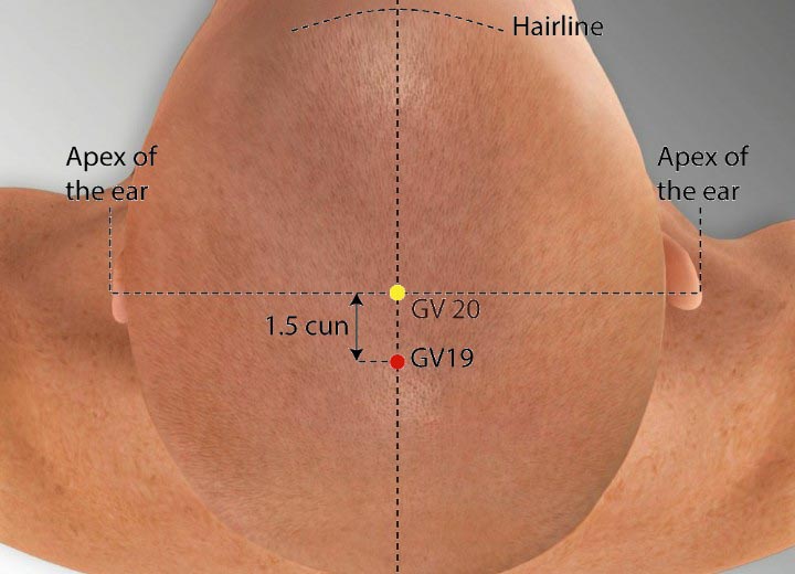 GV19 acupuncture point location - Acupoints.org