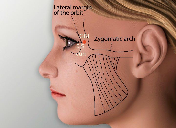 GB1 acupuncture point location - Acupoints.org