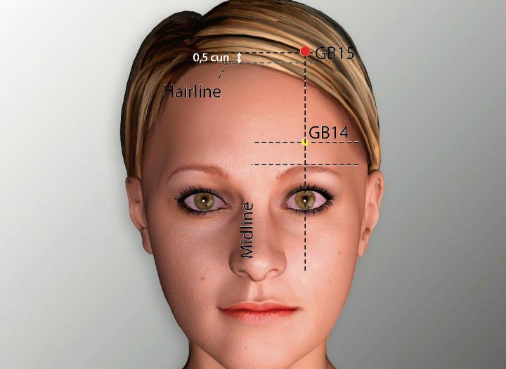 GB15 acupuncture point location - Acupoints.org