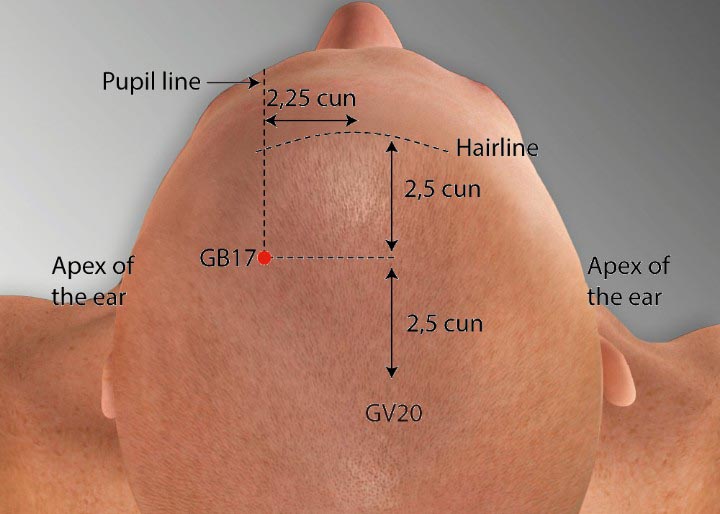 GB17 acupuncture point location - Acupoints.org