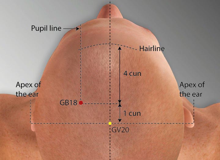 GB18 acupuncture point location - Acupoints.org