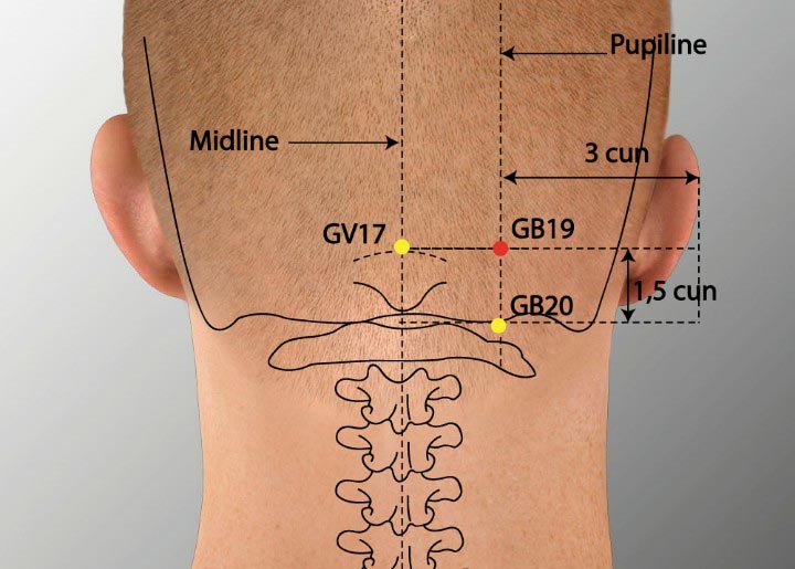 GB19 acupuncture point location - Acupoints.org