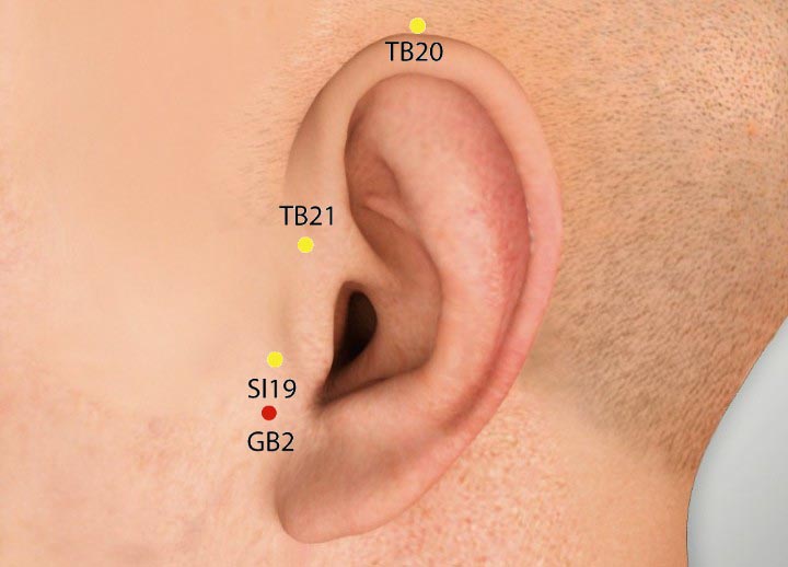 GB2 acupuncture point location - Acupoints.org