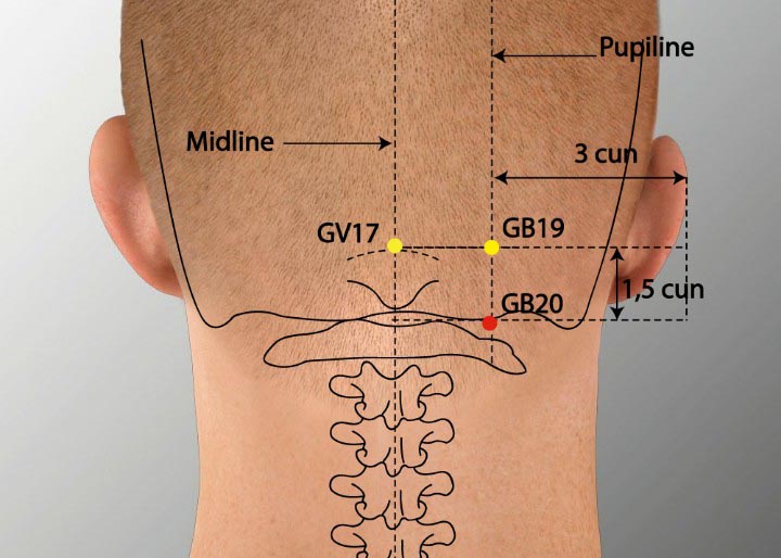 GB20 acupuncture point location - Acupoints.org