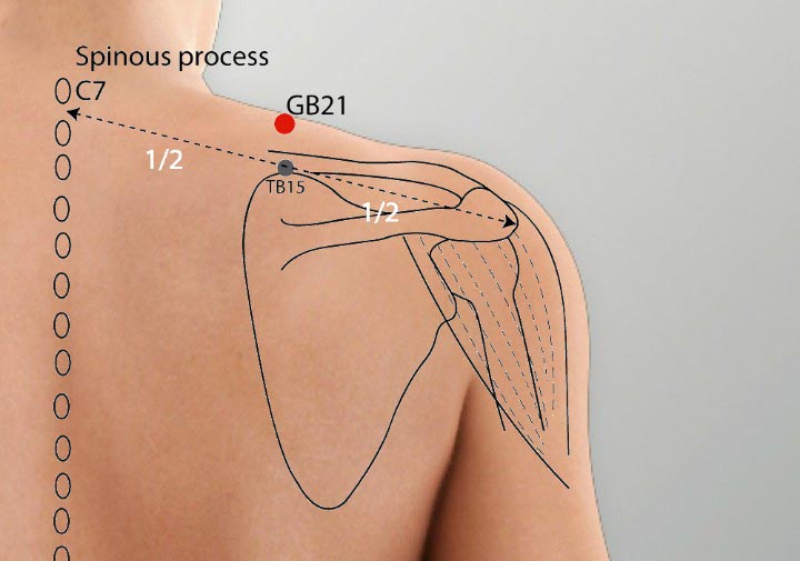 GB21 acupuncture point location - Acupoints.org