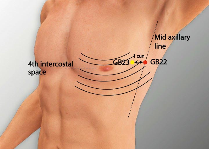 GB22 acupuncture point location - Acupoints.org