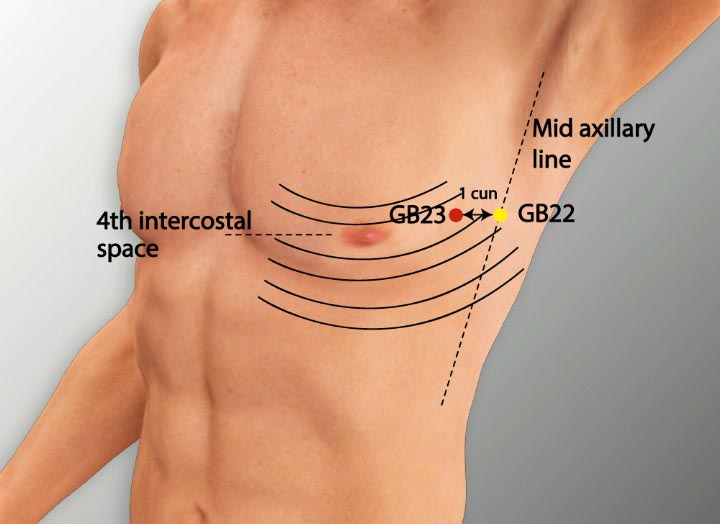 GB23 acupuncture point location - Acupoints.org