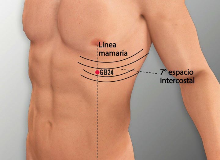 GB24 acupuncture point location - Acupoints.org