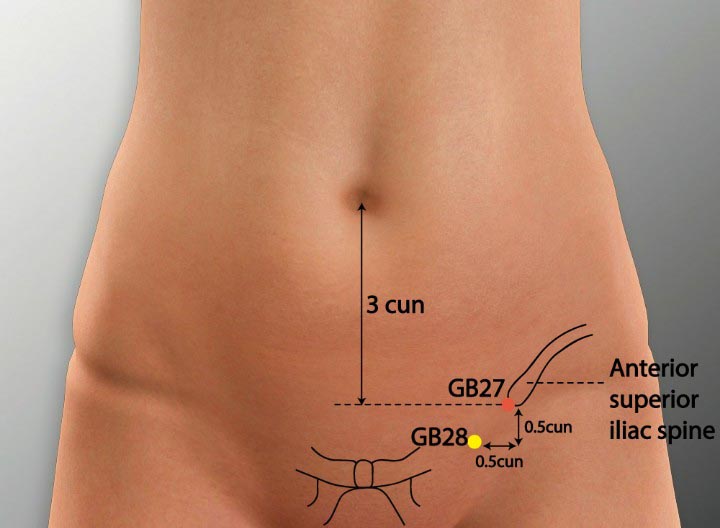GB27 acupuncture point location - Acupoints.org