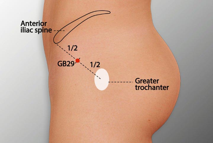 GB29 acupuncture point location - Acupoints.org