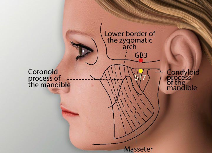 GB3 acupuncture point location - Acupoints.org