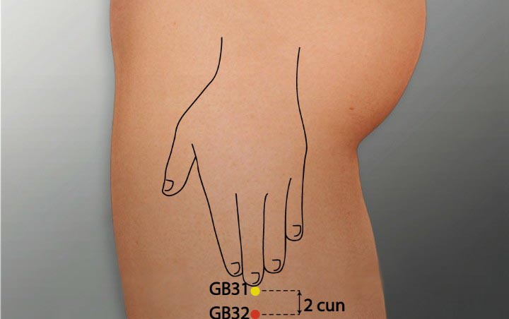 GB32 acupuncture point location - Acupoints.org