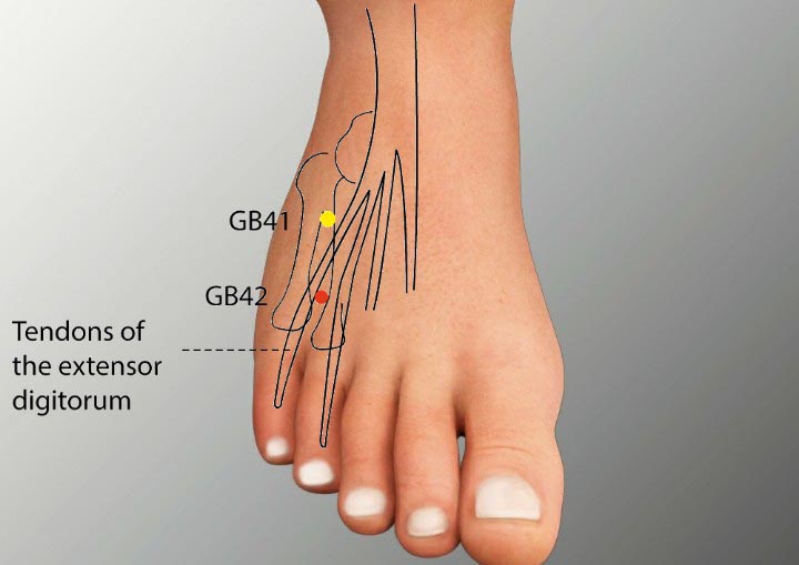 GB42 acupuncture point location - Acupoints.org