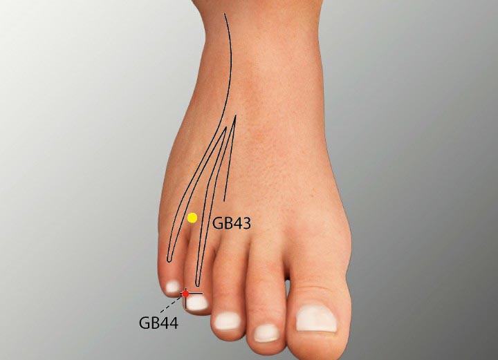 GB44 acupuncture point location - Acupoints.org